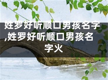 姓罗好听顺口男孩名字,姓罗好听顺口男孩名字火