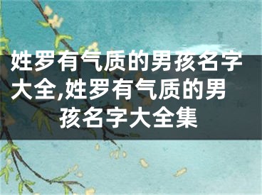姓罗有气质的男孩名字大全,姓罗有气质的男孩名字大全集