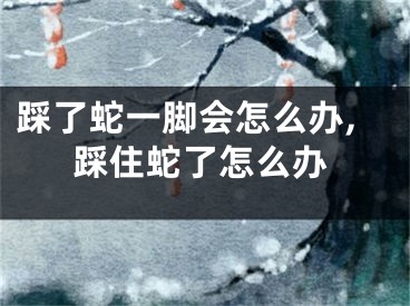 踩了蛇一脚会怎么办,踩住蛇了怎么办