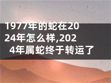 1977年的蛇在2024年怎么样,2024年属蛇终于转运了