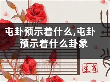 屯卦预示着什么,屯卦预示着什么卦象