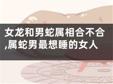 女龙和男蛇属相合不合,属蛇男最想睡的女人