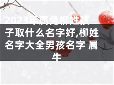 2023年属兔柳姓孩子取什么名字好,柳姓名字大全男孩名字 属牛