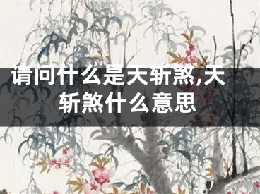 请问什么是天斩煞,天斩煞什么意思