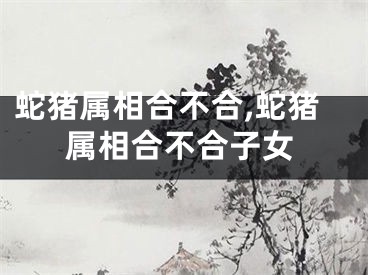 蛇猪属相合不合,蛇猪属相合不合子女