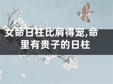 女命日柱比肩得宠,命里有贵子的日柱