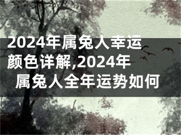 2024年属兔人幸运颜色详解,2024年属兔人全年运势如何