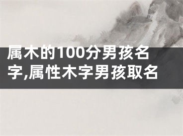属木的100分男孩名字,属性木字男孩取名