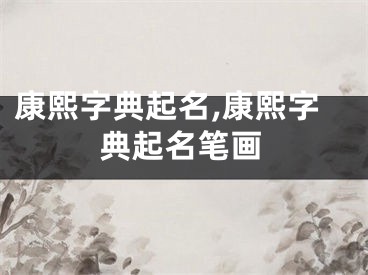康熙字典起名,康熙字典起名笔画
