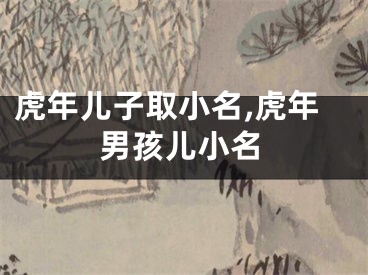虎年儿子取小名,虎年男孩儿小名