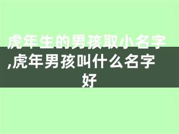 虎年生的男孩取小名字,虎年男孩叫什么名字好