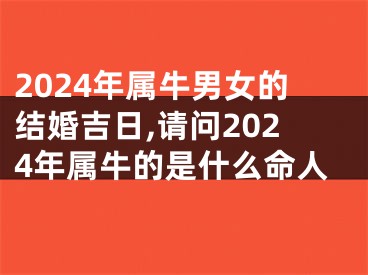 2024年属牛男女的结婚吉日,请问2024年属牛的是什么命人