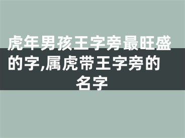 虎年男孩王字旁最旺盛的字,属虎带王字旁的名字
