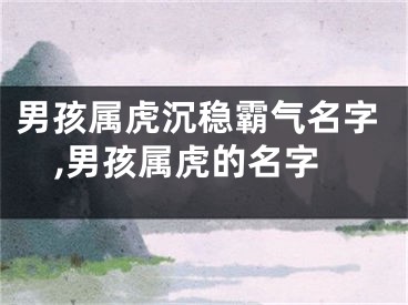 男孩属虎沉稳霸气名字,男孩属虎的名字