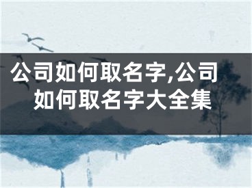 公司如何取名字,公司如何取名字大全集