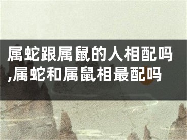 属蛇跟属鼠的人相配吗,属蛇和属鼠相最配吗