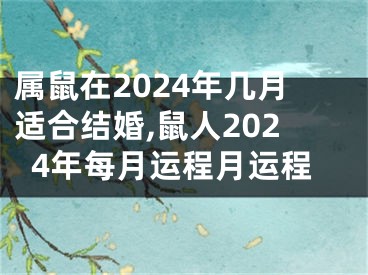 属鼠在2024年几月适合结婚,鼠人2024年每月运程月运程
