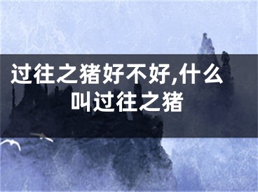 过往之猪好不好,什么叫过往之猪