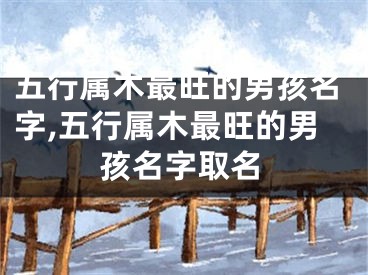 五行属木最旺的男孩名字,五行属木最旺的男孩名字取名
