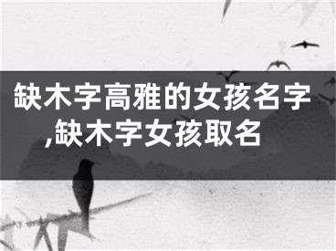 缺木字高雅的女孩名字,缺木字女孩取名