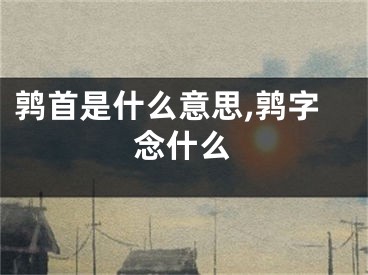 鹑首是什么意思,鹑字念什么