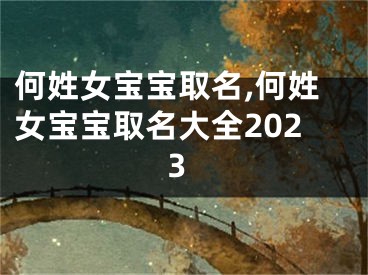 何姓女宝宝取名,何姓女宝宝取名大全2023