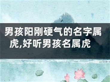 男孩阳刚硬气的名字属虎,好听男孩名属虎