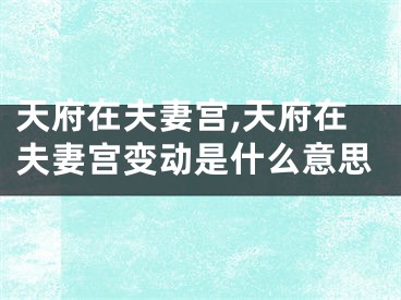 天府在夫妻宫,天府在夫妻宫变动是什么意思