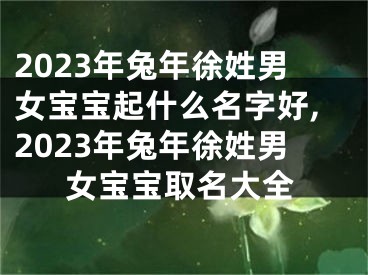 2023年兔年徐姓男女宝宝起什么名字好,2023年兔年徐姓男女宝宝取名大全