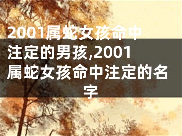 2001属蛇女孩命中注定的男孩,2001属蛇女孩命中注定的名字