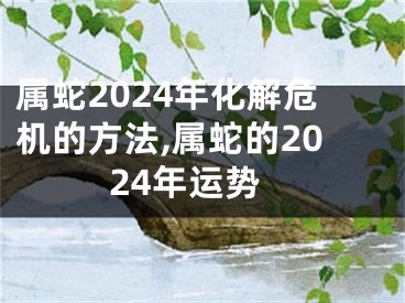 属蛇2024年化解危机的方法,属蛇的2024年运势