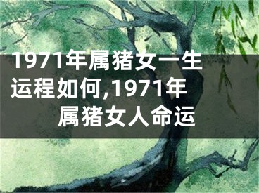 1971年属猪女一生运程如何,1971年属猪女人命运