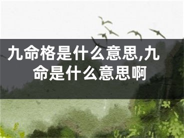 九命格是什么意思,九命是什么意思啊