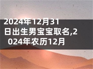 2024年12月31日出生男宝宝取名,2024年农历12月