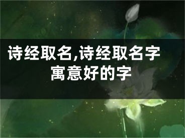 诗经取名,诗经取名字寓意好的字