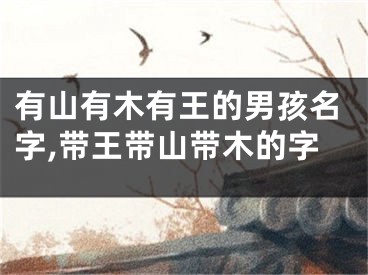 有山有木有王的男孩名字,带王带山带木的字