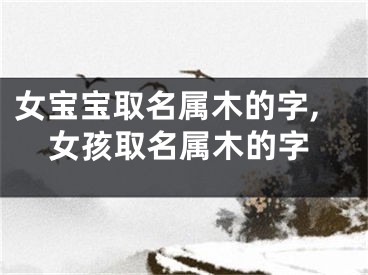 女宝宝取名属木的字,女孩取名属木的字