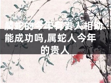 属蛇的今年有贵人相助能成功吗,属蛇人今年的贵人