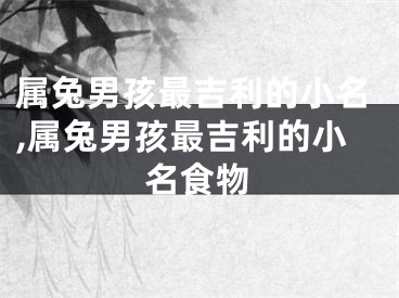 属兔男孩最吉利的小名,属兔男孩最吉利的小名食物