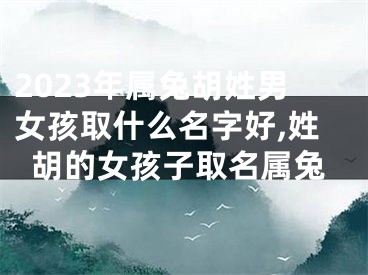 2023年属兔胡姓男女孩取什么名字好,姓胡的女孩子取名属兔
