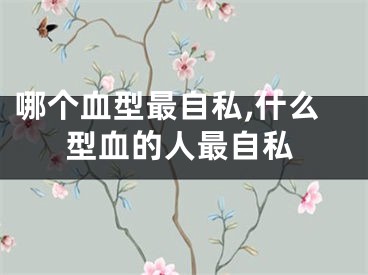 哪个血型最自私,什么型血的人最自私