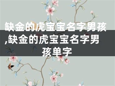 缺金的虎宝宝名字男孩,缺金的虎宝宝名字男孩单字