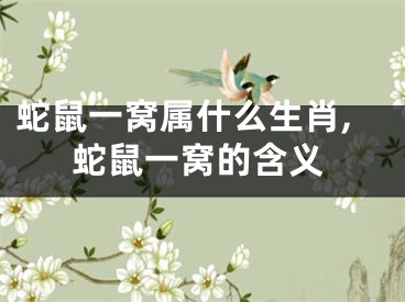 蛇鼠一窝属什么生肖,蛇鼠一窝的含义