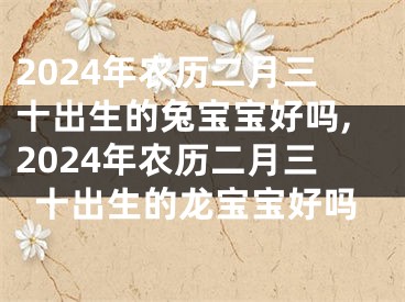 2024年农历二月三十出生的兔宝宝好吗,2024年农历二月三十出生的龙宝宝好吗