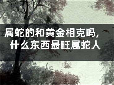 属蛇的和黄金相克吗,什么东西最旺属蛇人
