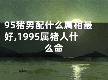 95猪男配什么属相最好,1995属猪人什么命