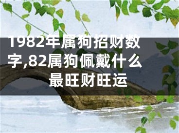 1982年属狗招财数字,82属狗佩戴什么最旺财旺运