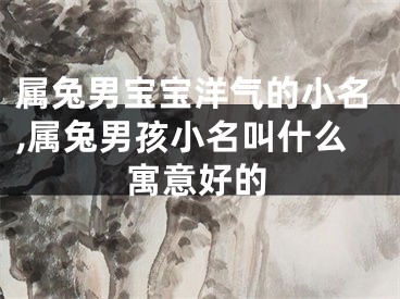 属兔男宝宝洋气的小名,属兔男孩小名叫什么寓意好的