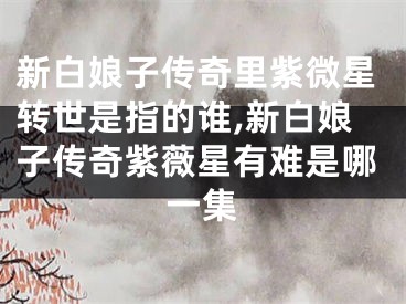 新白娘子传奇里紫微星转世是指的谁,新白娘子传奇紫薇星有难是哪一集