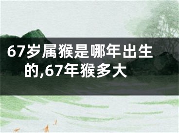 67岁属猴是哪年出生的,67年猴多大